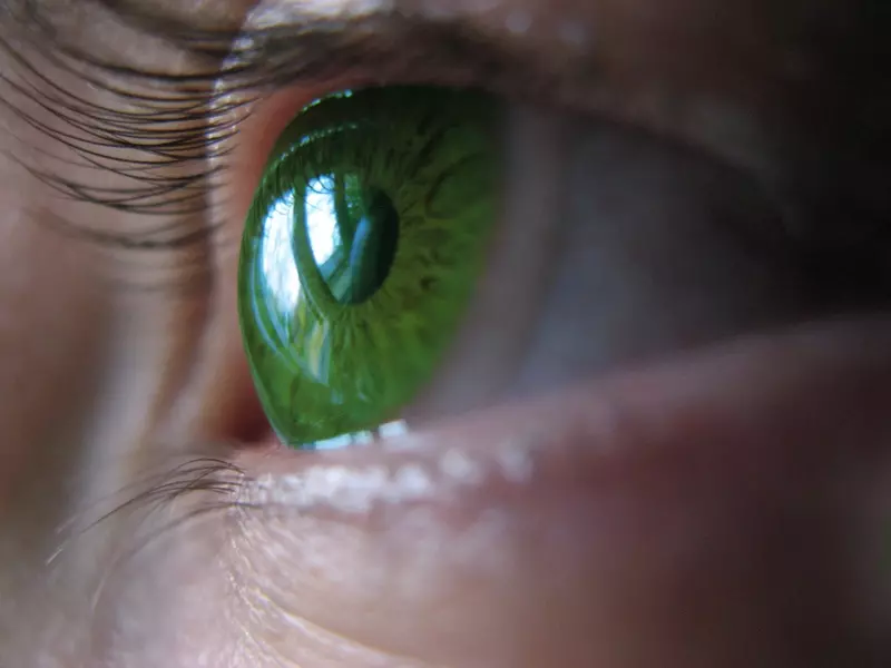 yesil-renk-lens-cesitleri
