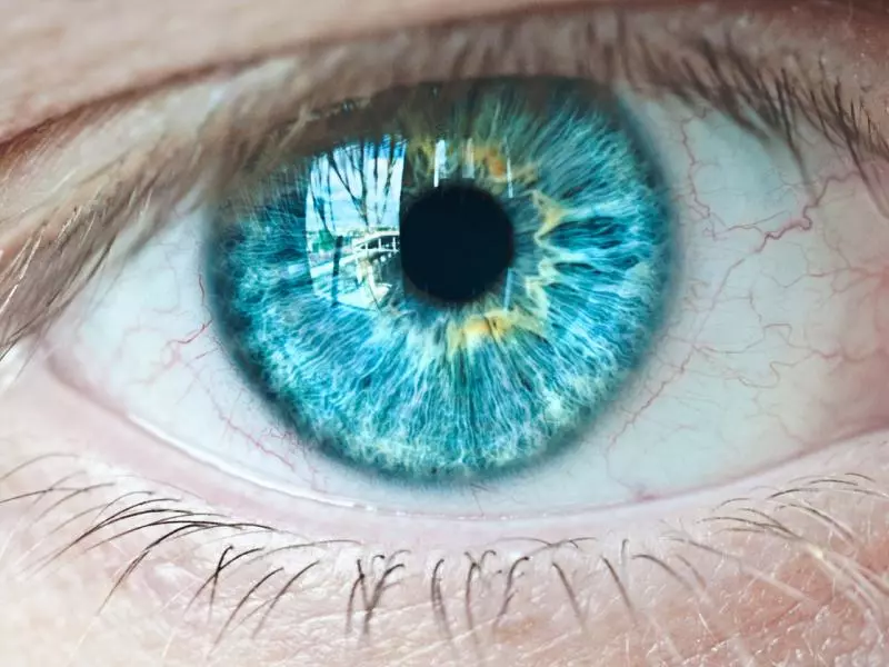 mavi goz renkli goz