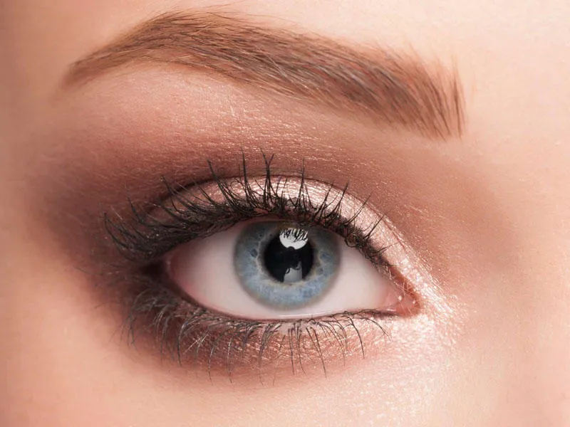 fox eye ankara