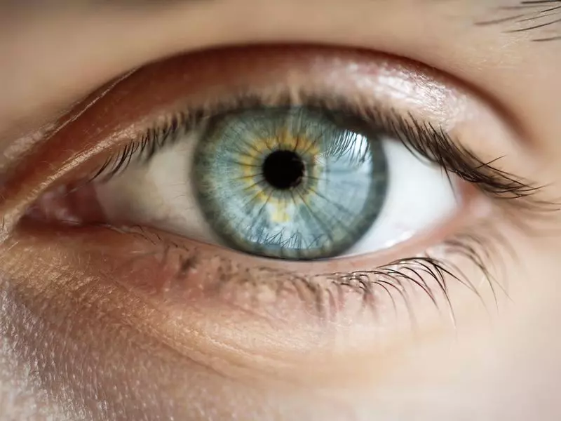 permament eye color change in turkey