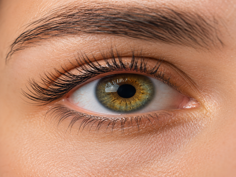 eye color change appointment turkey